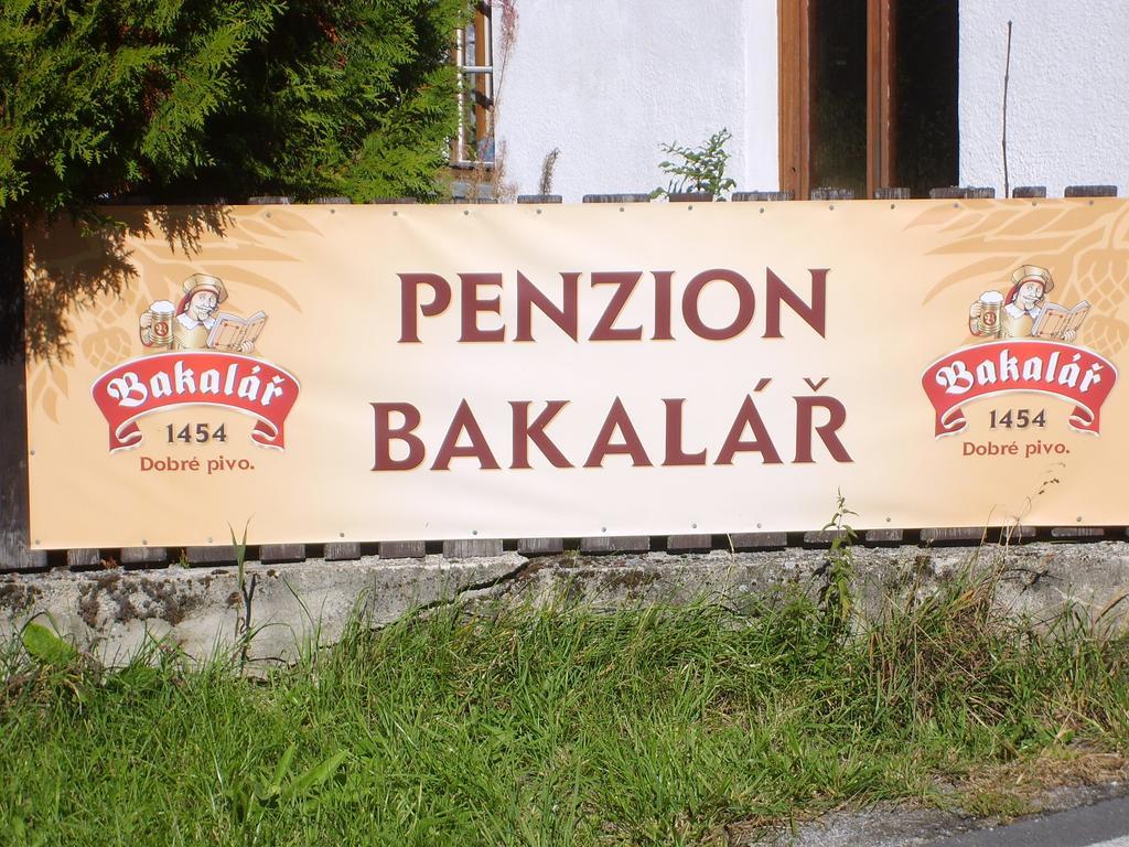 Pension Bakalar Frymburk nad Vltavou Exterior foto